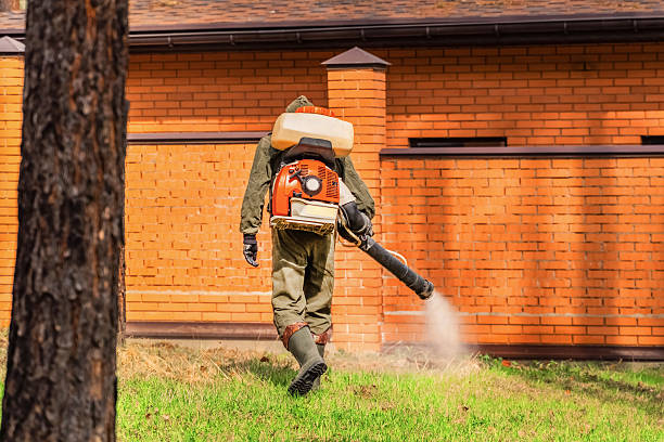 Trusted Bed Bug Control service in Lakewood, SC - Nex Pest Control